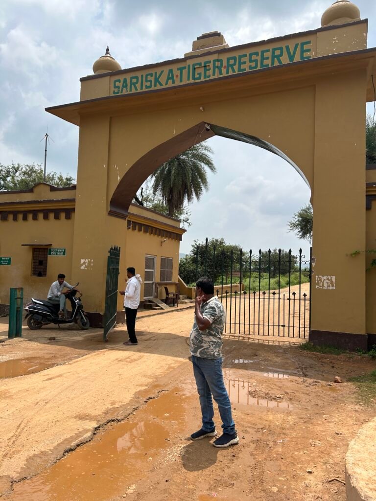Sariska Safari Online Booking